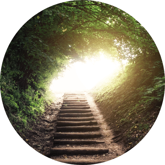 A circular image of wooden stairs leading up a path surrounded by green foliage towards bright light.